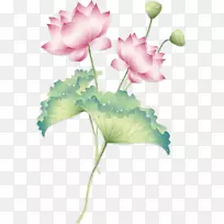 素描努西费拉线画艺术