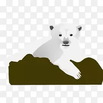 北极熊鼻子夹艺术北极熊