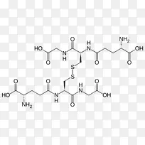 谷胱甘肽二硫氧化还原s-亚硝基谷胱甘肽结合