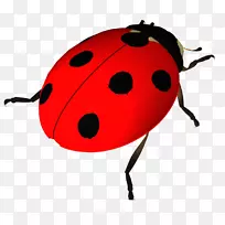 刺绣十字绣甲虫剪贴画甲虫