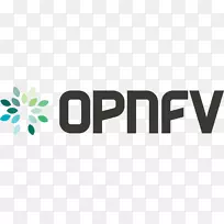 NFV开放源码软件的网络功能虚拟化开放平台计算机网络OpenStack