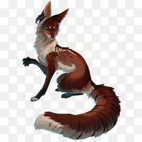 红狐猫动物毛皮野生动物猫