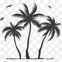 椰子亚洲棕榈树槟榔科椰子