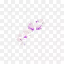紫丁香紫水晶花瓣紫丁香