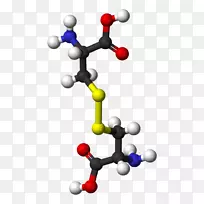 胱氨酸半胱氨酸slc7a11氨基酸-氨基酸