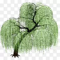 树艺术-树