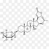 心苷，油酸酯，夹竹桃甾体