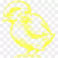 鸡嘴鸡