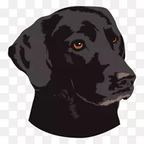 法国斗牛犬美洲驼宠物黑狗