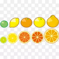 柠檬蜜柑水果食品橘子-柠檬