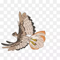 猫头鹰翅膀昆虫卡通-猫头鹰