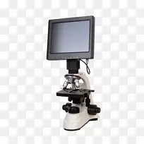 光学显微镜数字显微镜立体显微镜usb显微镜