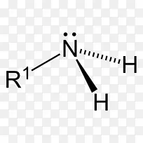 胺官能团酰胺对氮