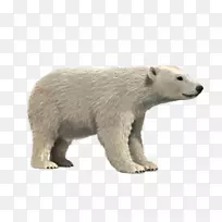 北极熊棕熊三维模型大熊猫北极熊