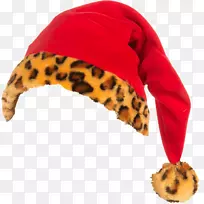圣诞老人套装豹皮索尔猫狗圣诞帽