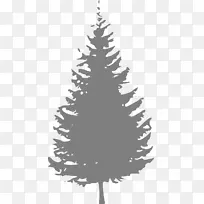 松树冷杉剪贴画水彩画圣诞树蓝树
