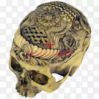 人类颅骨人体骨骼解剖-头骨维京