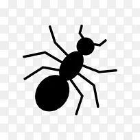 阿根廷蚂蚁群害虫媒介