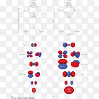 原子轨道的双原子分子线性组合分子轨道理论同核分子