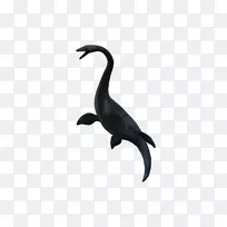 艾拉索龙恐龙棘龙鸟动物-恐龙