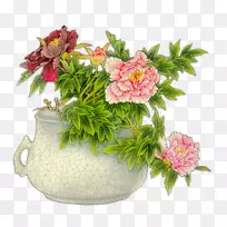 画画家画-抽象牡丹花