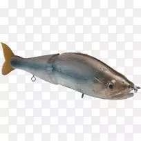 牛奶鱼09777鱼产品油性鱼鲑鱼-大口鲈鱼