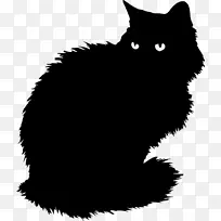 波斯猫英国长毛黑猫英国速记黑猫
