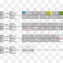 组蛋白h2A h2afz核酸序列塔塔盒-色谱图