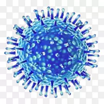 禽流感病毒普通感冒病毒齿状细菌病毒