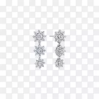 耳环哈利·温斯顿公司珠宝钻石首饰设计.白金红花三维设计