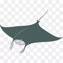 鲨鱼巨型海洋螳螂鱼鞭尾黄貂鱼-曼塔健身标志