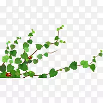 剪枝艺术.绿叶红花