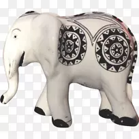 印度象非洲象牙象