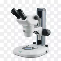 立体显微镜光学数字显微镜
