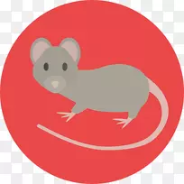老鼠电脑图标剪贴画.老鼠动物