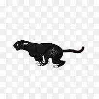 黑猫黑豹动画黑豹