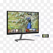 电脑显示器iPS面板飞利浦1080 p LED背光液晶-高清明亮的灯光无花果。