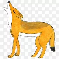红狐狸野狗非洲野狗印度野狗