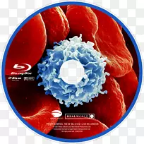 蓝光影碟dvd新血：活在伦敦活血新血