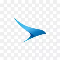 徽标航班驯服航空公司KLM-海南航空公司