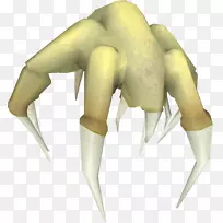 指爪