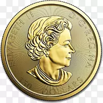 加拿大金枫叶金币皇家加拿大造币厂加拿大银枫叶金币浮动材料