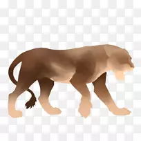 狮子狗大猫芳-狮子的骄傲