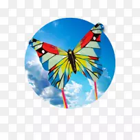 巴厘岛风筝节运动风筝游戏放风筝-风筝手印