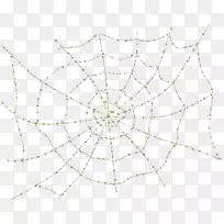 蜘蛛网线点对称-蜘蛛
