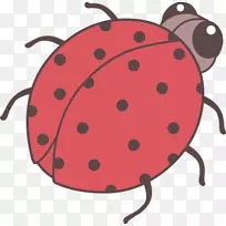 甲虫画瓢虫夹艺术可爱瓢虫