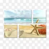 海滩桌面壁纸海岸海星-海滩