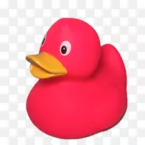橡胶鸭玩具浴缸天然橡胶-Jemima水塘鸭
