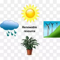 可再生能源花卉植物生殖-能源