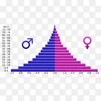 人口金字塔人口转型人口年龄结构-人口老龄化